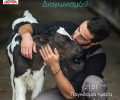 H υποκρισία της γαλακτοβιομηχανίας ΔΕΛΤΑ σε μια φωτογραφία που μιλάει για «αγκαλιές»