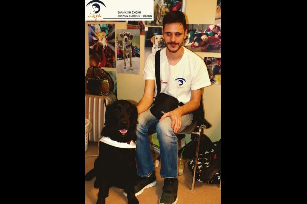 Από φόλα στον Μαραθώνα πέθανε τελικά η Ντάιμοντ ο εκπαιδευμένος σκύλος – οδηγός τυφλού ατόμου της Σχολής «Λάρα»