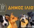 Δύο δημοτικά πάρκα για σκύλους θα φτιάξει ο Δήμος Ιλίου