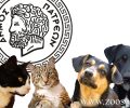 Δεσμεύεται ο Δήμος Πατρέων για έργα φροντίδας και ορθής διαχείρισης των αδέσποτων ζώων