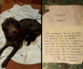 Γαλάτσι: Εγκατέλειψε το σκυλί του μ’ ένα «δακρύβρεχτο» σημείωμα στο οποίο έγραφε «το κρίμα στο λαιμό σας»