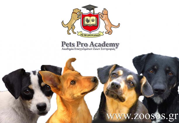 Διήμερο σεμινάριο για την συμπεριφορά του σκύλου από εξειδικευμένους επαγγελματίες 28 & 29 Ιανουαρίου
