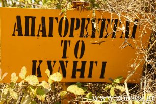 ΣτΕ: Προσωρινή απαγόρευση του κυνηγιού σε όλη τη χώρα