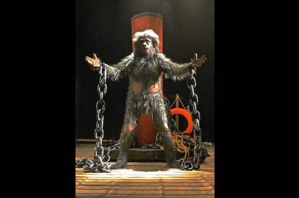 «Ο Πίθηκος» του Φ. Κάφκα: Μια παράσταση «κραυγή» στο Θέατρο Κνωσός για όσα παθαίνουν τα ζώα