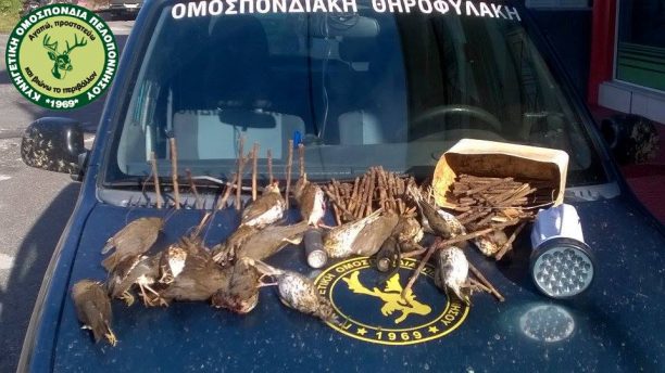 Καλύβια Μεσσηνίας: Βρήκαν και άλλους «οικολόγους» - κυνηγούς που έπιαναν πουλιά με αγκίστρια
