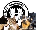 Ο Δήμος Φλώρινας προαναγγέλλει ελέγχους στα οικόσιτα ζώα συντροφιάς με τη συνεργασία της Αστυνομίας