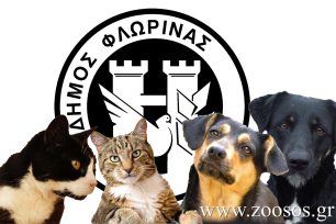 Ο Δήμος Φλώρινας προαναγγέλλει ελέγχους στα οικόσιτα ζώα συντροφιάς με τη συνεργασία της Αστυνομίας