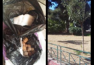 Εκπαιδεύτρια σκύλων πρόλαβε και έσωσε τον σκύλο της από την φόλα που έφαγε στα Κάτω Πετράλωνα της Αθήνας