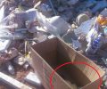 Βρήκε 4 κουτάβια πεταμένα σε κούτα στα σκουπίδια στο Πόρτο Ράφτη Αττικής (βίντεο)
