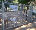 Δύο Πάρκα Σκύλων λειτουργούν στον Δήμο Νίκαιας - Αγίου Ιωάννη Ρέντη