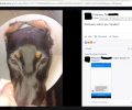 Χρυσαυγίτης ακρωτηρίασε τα αυτιά του σκύλου & ανέβασε φωτογραφίες στο facebook για να πουλήσει μαγκιά