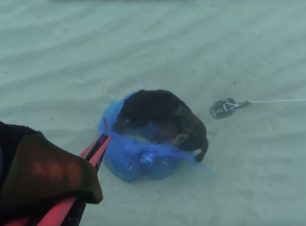 Βρήκε το κουτάβι πνιγμένο μέσα σε σακούλα με πέτρες πεταμένο στη θάλασσα στην Αμμουδάρα Λασιθίου Κρήτης (βίντεο)