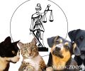Σεμινάριο για τα δικαιώματα των ζώων διοργανώνει στην Κομοτηνή η Ευρωπαϊκή Ένωση Νέων Νομικών