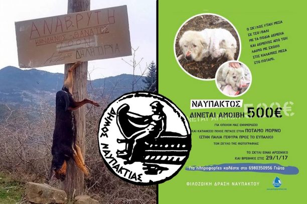 O Δήμος Ναυπακτίας καταδικάζει τα εγκλήματα εις βάρος των ζώων αλλά δεν κάνει και τίποτα για να τα αποτρέψει