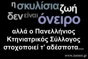 Ντροπή για τον Πανελλήνιο Κτηνιατρικό Σύλλογο που σε βίντεο χαρακτηρίζει επικίνδυνα για την Δημόσια Υγεία τ’ αδέσποτα