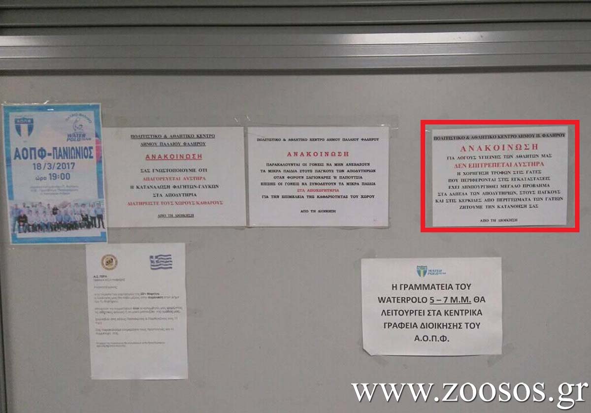 Απαγορεύουν παράνομα το τάισμα των αδέσποτων στο «Ρέστειο Κολυμβητήριο Παλαιού Φαλήρου» 6 RestioFaliroAnakoinosi 1
