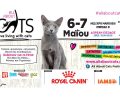 To φεστιβάλ «All About Cats» και φέτος στο Μαρούσι 6 & 7 Μαΐου