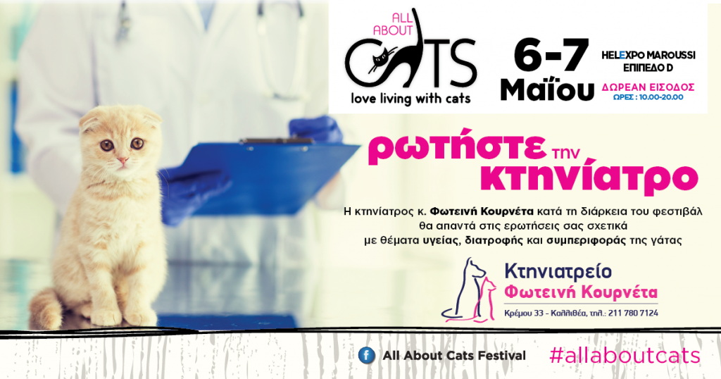 AllAboutCats2017ktiniatros