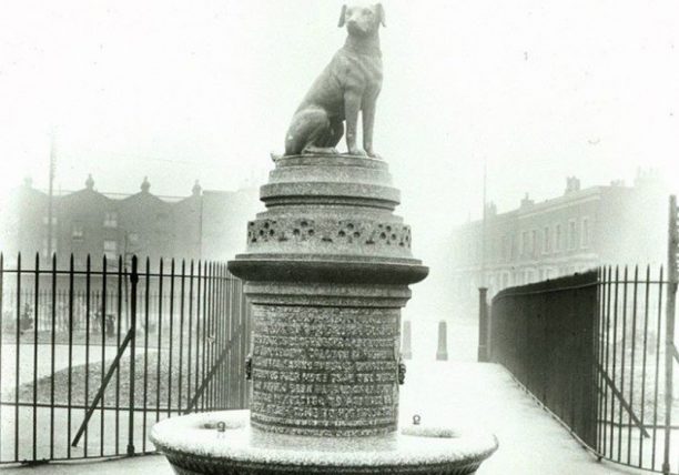 Η ιστορία ενός αγάλματος στο Λονδίνο στη μνήμη των σκυλιών που βασανίστηκαν για το «καλό» της επιστήμης