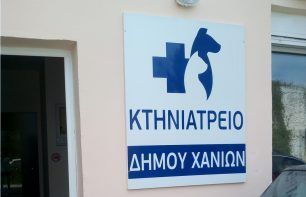 Καταγγέλλουν την παρεμπόδιση διενέργειας νόμιμων στειρώσεων αδέσποτων ζώων στο Δημοτικό Κτηνιατρείο Χανίων