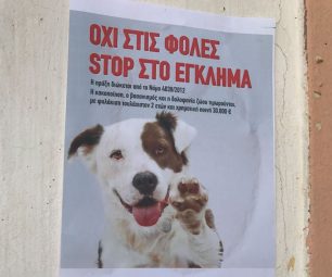 Κεφαλόβρυσο Ελασσόνας: Δηλητηρίασαν με φόλες 26 ποιμενικούς σκύλους