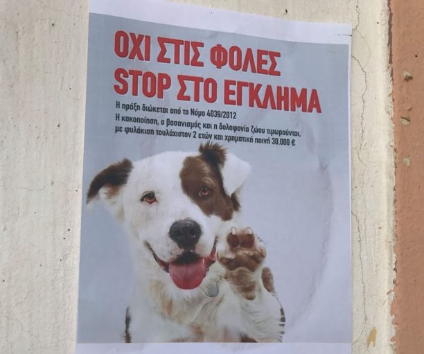 Κεφαλόβρυσο Ελασσόνας: Δηλητηρίασαν με φόλες 26 ποιμενικούς σκύλους