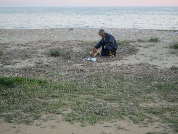 Βρήκαν ετοιμοθάνατο το σκυλί που μάλλον κάποιος προσπάθησε να πνίξει στην θάλασσα στον Προφήτη Ηλία Ροδόπης