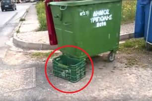 Τρίπολη: Παράτησαν 11 κουτάβια μέσα σε τελάρο στα σκουπίδια στο Παναρκαδικό (βίντεο)