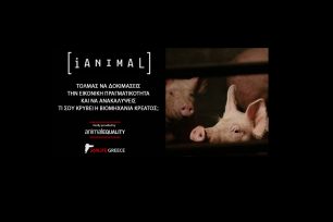 Βίντεο 3D δείχνει στους ανθρώπους τι υφίστανται τα ζώα στα σφαγεία & όσα κρύβει η βιομηχανία κρέατος