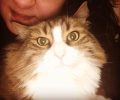 Έκκληση για τον εντοπισμό της αρσενικής γάτας που χάθηκε μετά από τροχαίο στην Κοζάνη