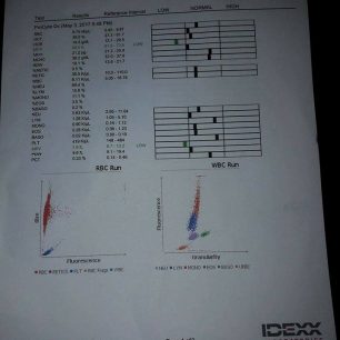 MenidiFrixosParalytosToxoplasma 8