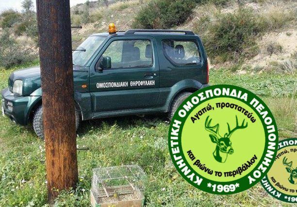 Όταν θηροφύλακες κυνηγούν παράνομα και ρίχνουν φόλες…