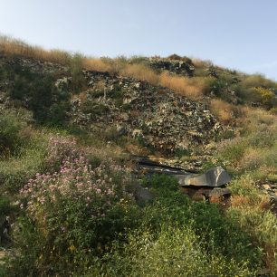 ZakynthosSkoupidia2 5 2017 7
