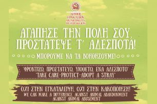 Δράσεις ενημέρωσης με στόχο την προστασία των αδέσποτων ζώων συντροφιάς από τον Δήμο Ηρακλείου Κρήτης