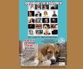 Συναυλία για τα αδέσποτα ζώα στην Καλλιθέα Αττικής την Πέμπτη 15 Ιουνίου