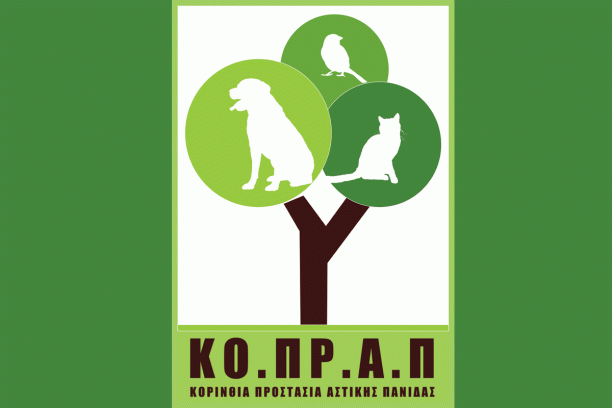 Την συστηματική εξαφάνιση αδέσποτων σκυλιών από την Κόρινθο καταγγέλλει φιλοζωικός σύλλογος