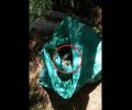 Λακωνία: Βρήκε 6 νεογέννητα γατάκια κλεισμένα σε σακούλα πεταμένα σε ρέμα στη Μονεμβασιά (βίντεο)