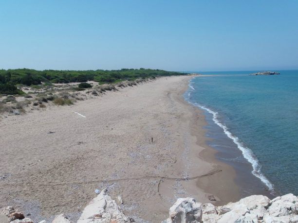 Σε εξέλιξη η ωοτοκία των θαλάσσιων χελώνων caretta caretta στο Εθνικό Πάρκο Υγροτόπων Κοτυχίου Στροφυλιάς