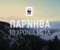 WWF: H Πάρνηθα 10 χρόνια μετά τη μεγάλη πυρκαγιά (βίντεο)