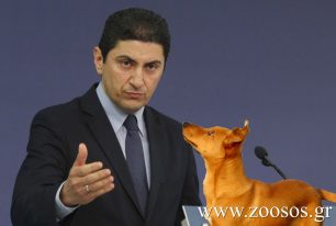 Λευτέρης Αυγενάκης στο www.zoosos.gr: «Είμαι ενάντια στην ευθανασία αδέσποτων ζώων»
