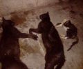 Σκότωσαν με φόλες αδέσποτες γάτες στην Πλάκα, στην πιο τουριστική περιοχή της Αθήνας