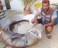 Μεσσηνία: Ψαράδες έπιασαν καρχαρία είδος υπό προστασία & οι δημοσιογράφοι τους παρουσιάζουν ως ήρωες…