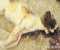 Αιτωλοακαρνανία: Φόλες στο Μεσολόγγι τουλάχιστον 4 γάτες δηλητηριασμένες