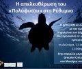 Θα απελευθερώσουν στο Ρέθυμνο την θαλάσσια χελώνα που φρόντιζαν επί 5 μήνες