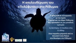 Θα απελευθερώσουν στο Ρέθυμνο την θαλάσσια χελώνα που φρόντιζαν επί 5 μήνες