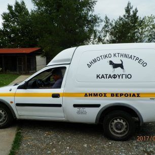 Ολοκληρώθηκε το πρόγραμμα στειρώσεων αδέσποτων ζώων στον Δήμο Βέροιας από εθελοντές κτηνίατρους 3 VeriaSteiroseisIoulios2017 4