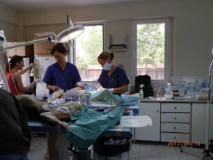Ολοκληρώθηκε το πρόγραμμα στειρώσεων αδέσποτων ζώων στον Δήμο Βέροιας από εθελοντές κτηνίατρους
