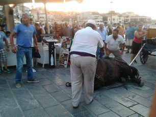 Π.Φ.Π.Ο.: Η κατάρρευση αλόγων στα Χανιά συμβαίνει εξαιτίας της εκμετάλλευση τους από τους αμαξάδες