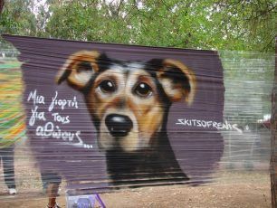 Φιλοζωικός Όμιλος Καλαμάτας: Ραγδαία αύξηση των αδέσποτων εξαιτίας των συστηματικών εγκαταλείψεων οικόσιτων ζώων