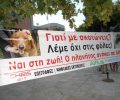 Διαμαρτυρήθηκαν για την εξόντωση των αδέσποτων με φόλες στο Κιάτο Κορινθίας
